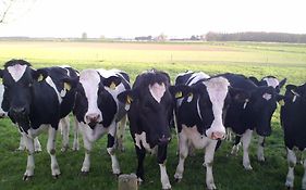 Boerderij Wijtvliet Langeweg